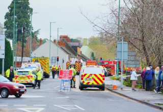 wp header logo1763229657131880512