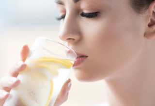 wp header logo1763280060301991641