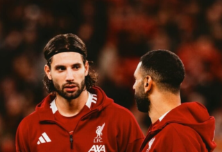 wp header logo17632836192109901253