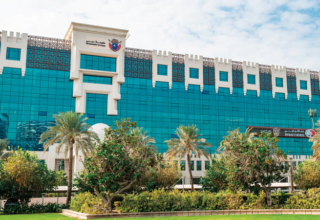 wp header logo17633412071381301554