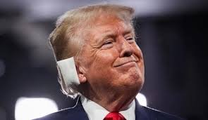 wp header logo17633520051617062411