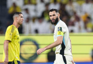 wp header logo17634060372104191581