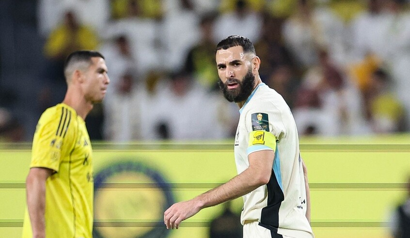 wp header logo17634060372104191581