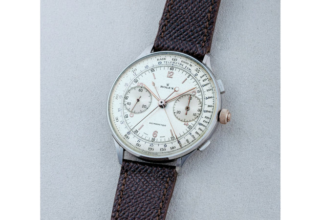 wp header logo17634276061215646114