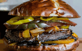 wp header logo17634780051696709112