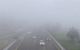 wp header logo17635824051684412554