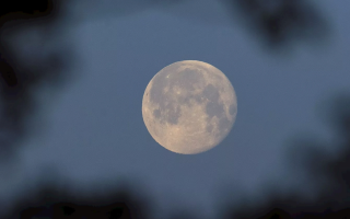 wp header logo17636220251423647287