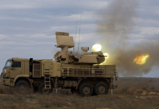 wp header logo1763636420299544882