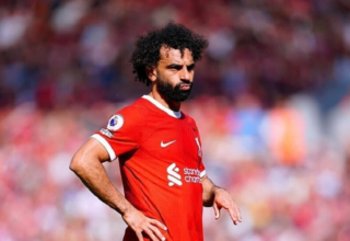 wp header logo17636724281049560273