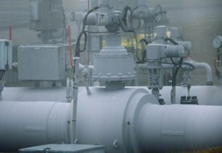 wp header logo17637012071065504976