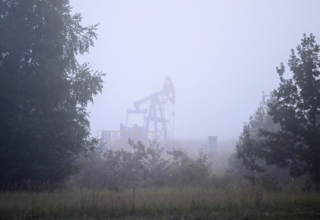 wp header logo17637120211788941875