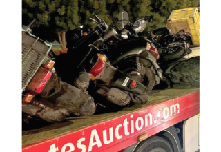 wp header logo17638452041321522109