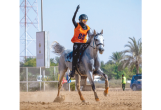 wp header logo17638596121704509420