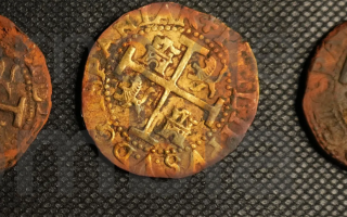 wp header logo176388480455832877