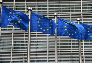 wp header logo1763924451819066099