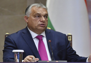 wp header logo1763928017683588868