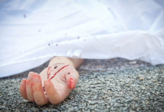 wp header logo1763982008287130506