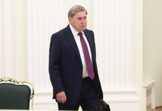 wp header logo17640001151622182300