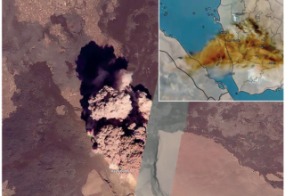 wp header logo176403242920019211