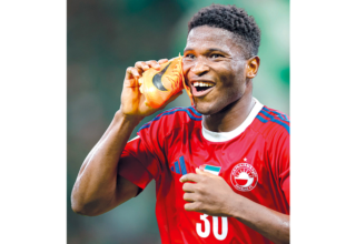 wp header logo17641188061526385512