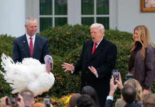 wp header logo17641548082141151777