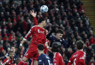 wp header logo17642376191178826061