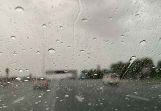 wp header logo1764259222385352168