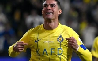 wp header logo17642664531174035178