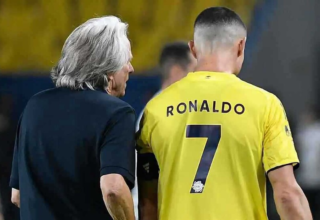 wp header logo17643132071027384899