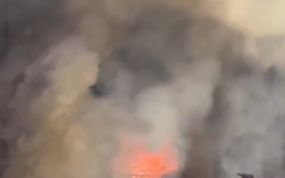 wp header logo1764345605889738191