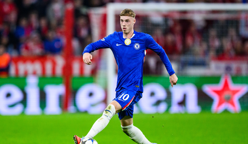 wp header logo17643492061349127369