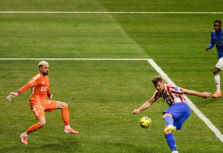 wp header logo17645076061111863968