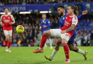 wp header logo176453641148253858