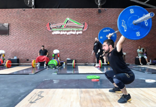 wp header logo17645508411860019957