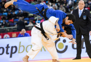 wp header logo17645652131458219747