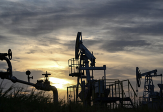 wp header logo17645724061096980457