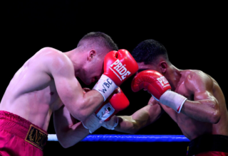 wp header logo1764590406496677916