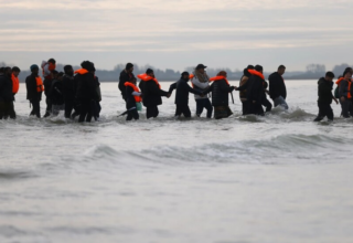 wp header logo176463725358284228