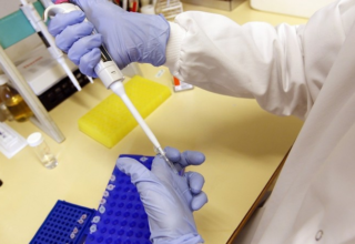 wp header logo1764666033172457894