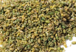 wp header logo17647452041632494418