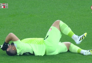 wp header logo17647776212121913415