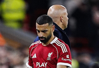 wp header logo1764792006334846559