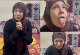 wp header logo17648568071111475720