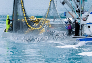 wp header logo1764928855162897631