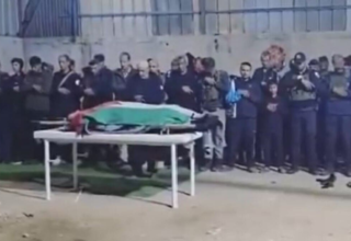 wp header logo1764928912834874373