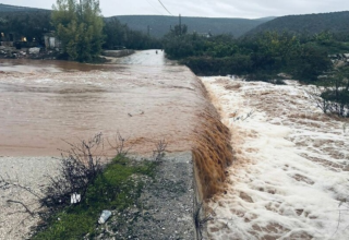 wp header logo1764932434552471107