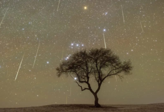 wp header logo17649324501855212314