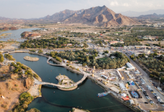 wp header logo17649360041415255061