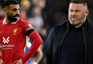 wp header logo17652024081929648016