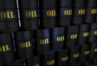 wp header logo17652060171055514859